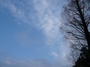 winter sky