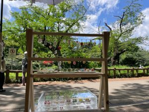 新緑がまぶしい井の頭公園