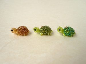 カメさんの進化