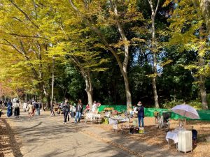 秋の井の頭公園✨