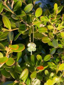 ま、まぶちい…🌟