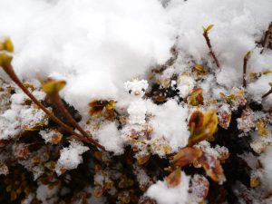 ちょっとちょっと、まってよ〜